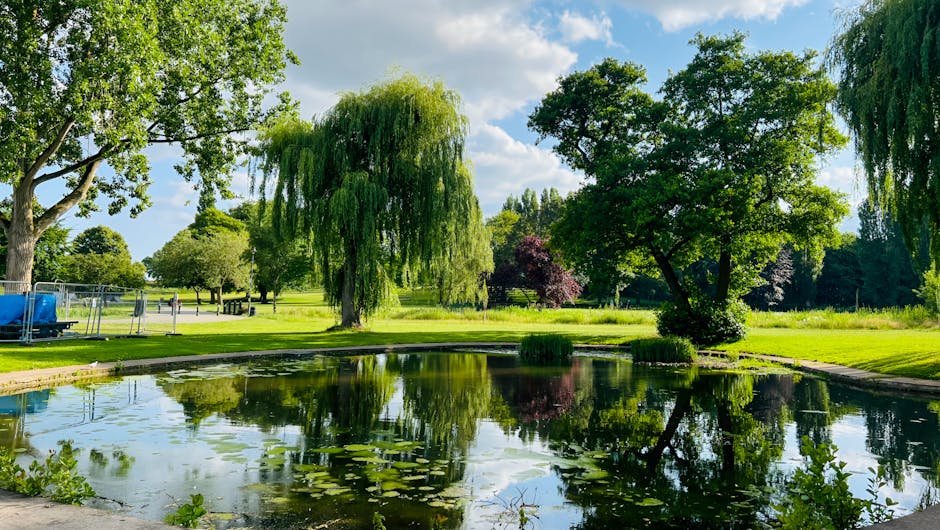 A tranquil park scene with a small pond reflecting the surrounding greenery under a bright blue sky with scattered clouds. Tall trees, including a prominent weeping willow with drooping branches, border the water, and their leafy branches cast partial shadows on the pond's surface. In the background, a grassy area features additional trees and a pathway, with a blue covered structure and some metal fencing visible near the left edge of the image. This outdoor environment provides a peaceful setting often associated with residential areas undergoing house removals or relocation logistics, as seen in the context of home moving services by Man with Van Hackney, who specialise in furniture transport and packing and moving within the Hackney area.