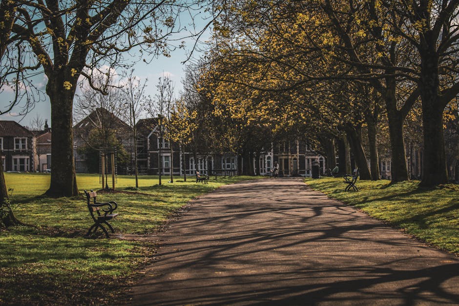 https://manwithvanhackney.co.uk/blog/moving-tips-for-hackney-wick-to-victoria-park-removals/
